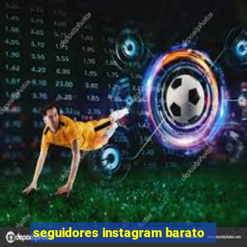 seguidores instagram barato